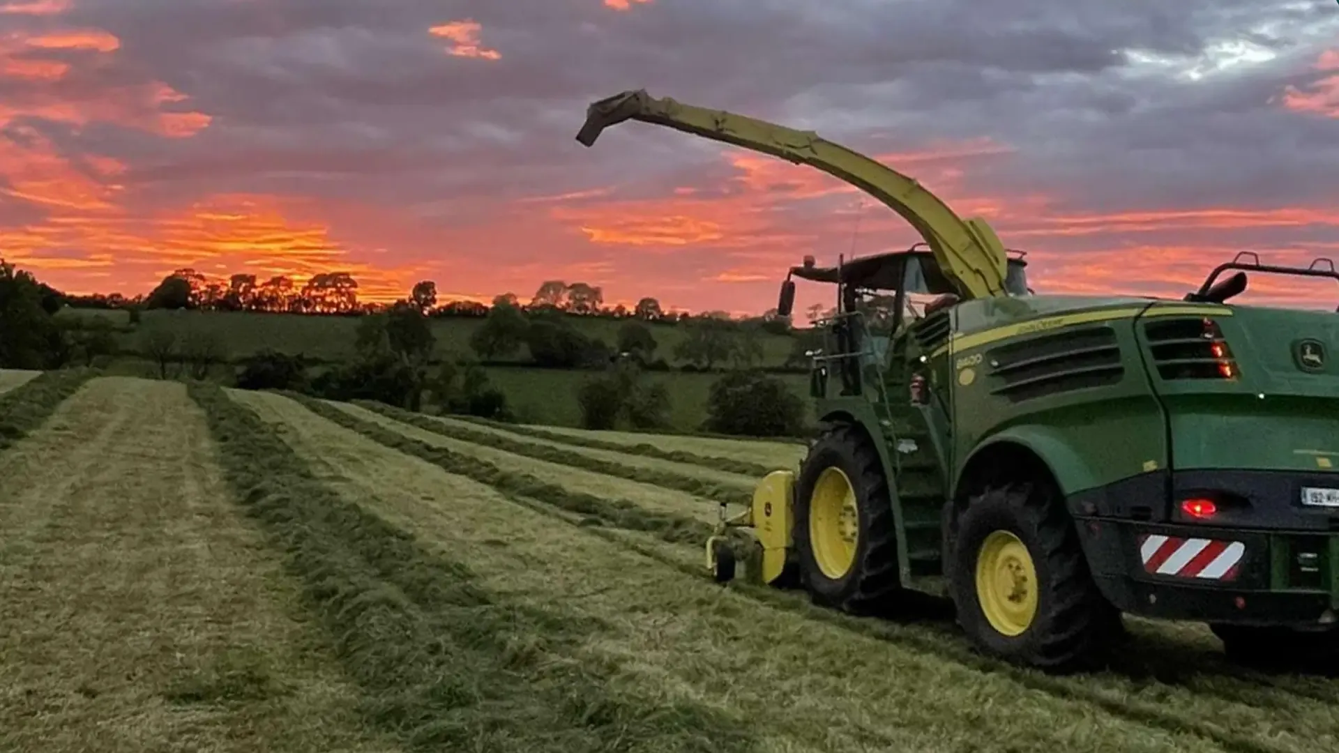 Forage harvester cutting a field under a red sunset sky.