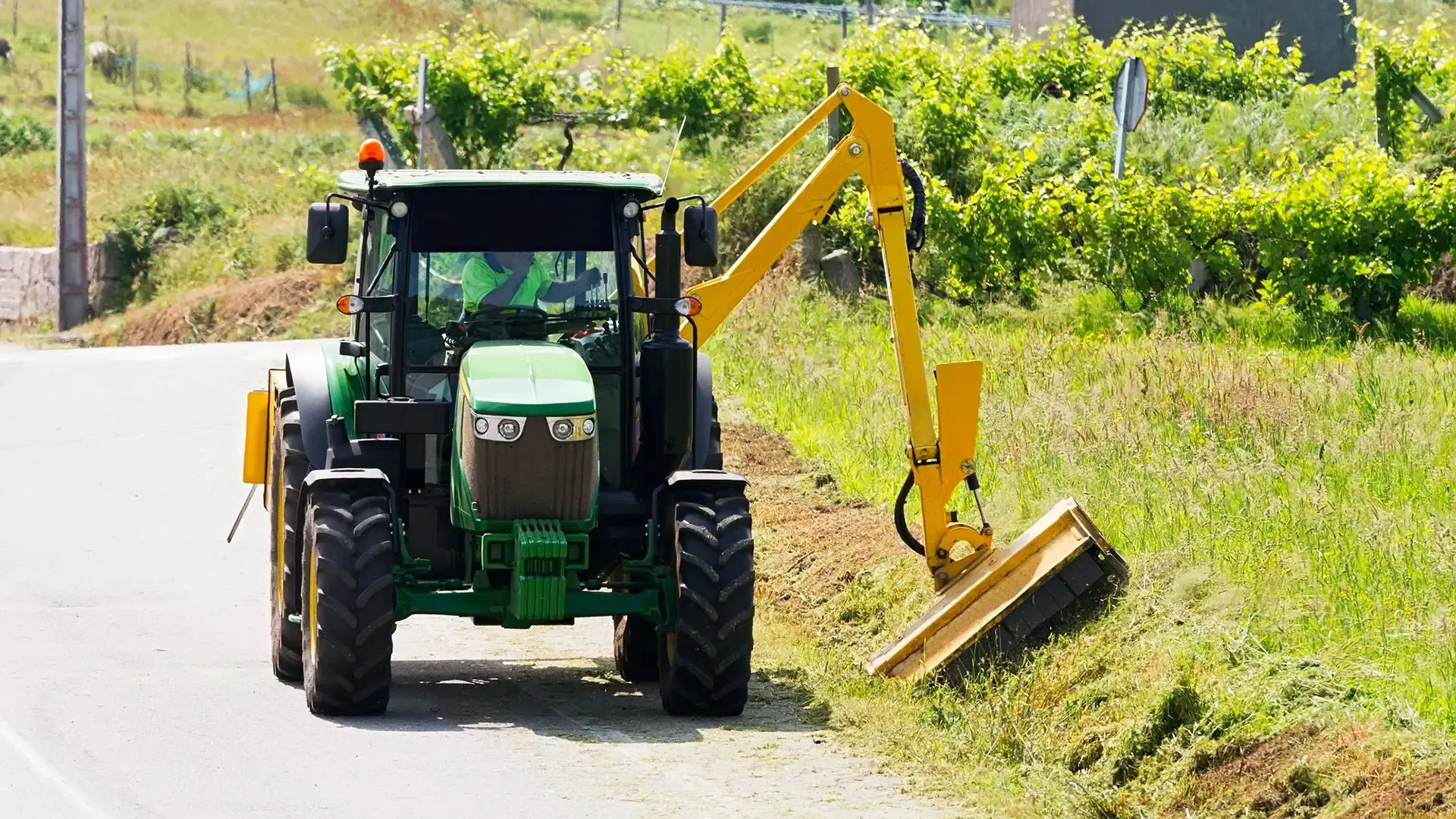 Verge-side vegetation management alongside a road.