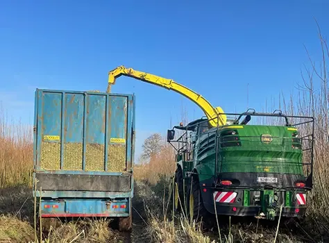 Forage harvester loading a trailer in the field.