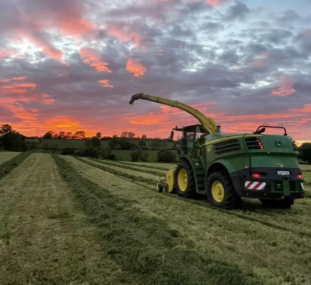 Forage harvester working a field at dusk.